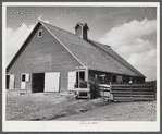 Barn and feeding pens and troughs on Tom Reed farm. Lexington, Nebraska.