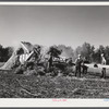 Threshing beans in the North Platte River Valley, Nebraska.
