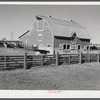 Dairy cattle and stock barn on farm near Lexington, Nebraska.