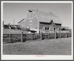 Dairy cattle and stock barn on farm near Lexington, Nebraska.