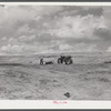 Hired help building a dam for a reservoir to water cattle and livestock on Tom Reed farm. Lexington, Nebraska.