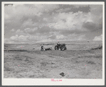 Hired help building a dam for a reservoir to water cattle and livestock on Tom Reed farm. Lexington, Nebraska.