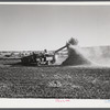 Threshing beans in the North Platte River Valley, Nebraska.