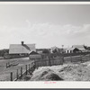 Barn and feeding pens and troughs on Tom Reed farm. Lexington, Nebraska.