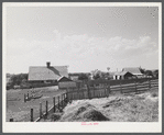 Barn and feeding pens and troughs on Tom Reed farm. Lexington, Nebraska.