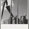 Co-op members filling a home-made silo with corn. Two Rivers Non-Stock Cooperative Company. Waterloo, Nebraska.
