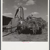 Co-op members filling a home-made silo with corn. Two Rivers Non-Stock Cooperative Company. Waterloo, Nebraska.