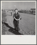 Children coming home from school. Two Rivers Non-Stock Cooperative Company, FSA (Farm Security Administration) co-op. Waterloo, Nebraska.