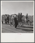 Children coming home from school. Two Rivers Non-Stock Cooperative Company, FSA (Farm Security Administration) co-op. Waterloo, Nebraska.