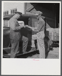Henry Harringer, in charge of purchasing and marketing enterprise, buying oil and supplies. Two Rivers Non-Stock Cooperative Company, FSA (Farm Security Administration) co-op. Waterloo, Nebraska.