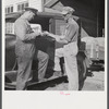 Henry Harringer, in charge of purchasing and marketing enterprise, buying oil and supplies. Two Rivers Non-Stock Cooperative Company, FSA (Farm Security Administration) co-op. Waterloo, Nebraska.