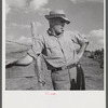 Tom Reed, hog and cattle farmer, whose father came from Iowa fifty years ago to this farm near Lexington, Nebraska.