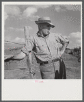Tom Reed, hog and cattle farmer, whose father came from Iowa fifty years ago to this farm near Lexington, Nebraska.