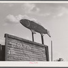 Sign at Reitz's farm advertising goldfish for sale. Ralph Reitz is a member of the Tri-County Farmers Co-op Market at Du Bois, Pennsylvania. His farm is near Falls Creek, Pennsylvania.