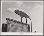 Sign at Reitz's farm advertising goldfish for sale. Ralph Reitz is a member of the Tri-County Farmers Co-op Market at Du Bois, Pennsylvania. His farm is near Falls Creek, Pennsylvania.