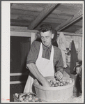 Mrs. Woods, member of board of directors of Tri-County Farmers Co-op Market at Du Bois, Pennsylvania. Wrapping buns at the market.