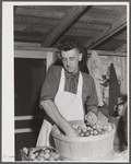 Mrs. Woods, member of board of directors of Tri-County Farmers Co-op Market at Du Bois, Pennsylvania. Wrapping buns at the market.