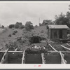 Mine workers on the farm of Mr. Bundy, a member of the Tri-County Farmers Co-op Market at Du Bois, Pennsylvania. Mr. Bundy's farm is near Penfield, Pennsylvania.