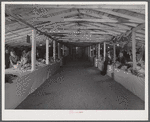 Interior of Tri-County Farmers Co-op Market at Du Bois, Pennsylvania.