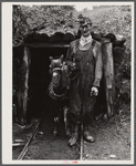 Mr. Merritt Bundy of Tri-County Farmers Co-op Market at Du Bois, Pennsylvania, at the entrance to his mine on his farm near Penfield, Pennsylvania.