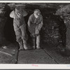 Inside mine workings of Mr. Merritt Bundy at his farm near Penfield. He is a member of the Tri-County Farmers Co-op Market at Du Bois, Pennsylvania.