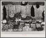 The booth of Mr. Kness at the Tri-County Farmers Co-op Market in Du Bois, Pennsylvania.