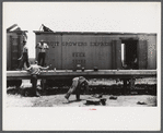 Lunch hour at the grading station at Camden, North Carolina.