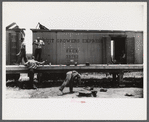 Lunch hour at the grading station at Camden, North Carolina.