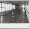 On board the "Princess Anne" super-deluxe luxury liner ferry plying between Little Creek, Virginia (Norfolk) and Cape Charles, Virginia.