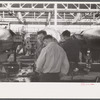 In the Vought-Sikorsky Aircraft Corporation, Stratford, Connecticut.