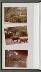 China album