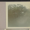 Hawaii album