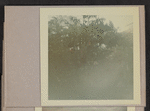 Hawaii album
