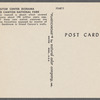 Repitles roaming desert, Grand Canyon National Park postcard