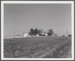 Dayton, Ohio. Farm.
