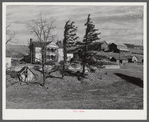 Farm near Radford, Virginia.