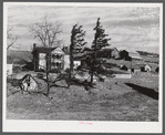 Farm near Radford, Virginia.