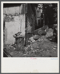 Slums of Washington, D.C.