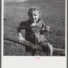Phyllis Fleming, daughter of defense worker, Floyd W. Fleming from Spencer, North Carolina, who lives in new rural home built by FSA (Farm Security Administration) on T.H. Walter's farm near Radford, Virginia.