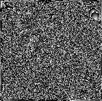 Dixon Oil Co.