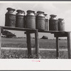 Milk cans along the road near Greensboro, Alabama.