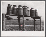 Milk cans along the road near Greensboro, Alabama.