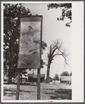 A religious arbor in Eutaw, Alabama.