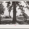 A religious arbor in Eutaw, Alabama.