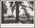 A religious arbor in Eutaw, Alabama.