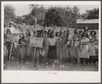 CIO pickets jeering at few workers who were entering a mill in Greensboro, Greene County, Georgia.