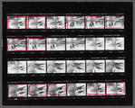 Contact sheet of photographs of Zoot Suit cast and others in Times Square during the stage production Zoot Suit