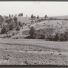 Farm landscape showing recently cleared land near Penfield, Pennsylvania.