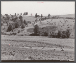 Farm landscape showing recently cleared land near Penfield, Pennsylvania.