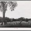 Graveyard near Townsend, New York.
